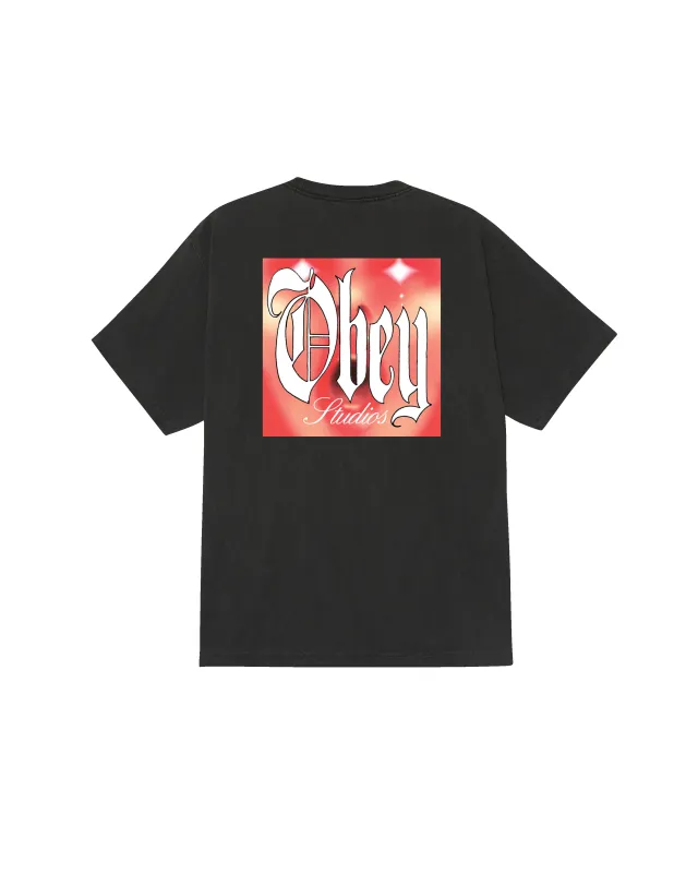 POWERHOUSE PIGMENT T-SHIRT sold by Obey