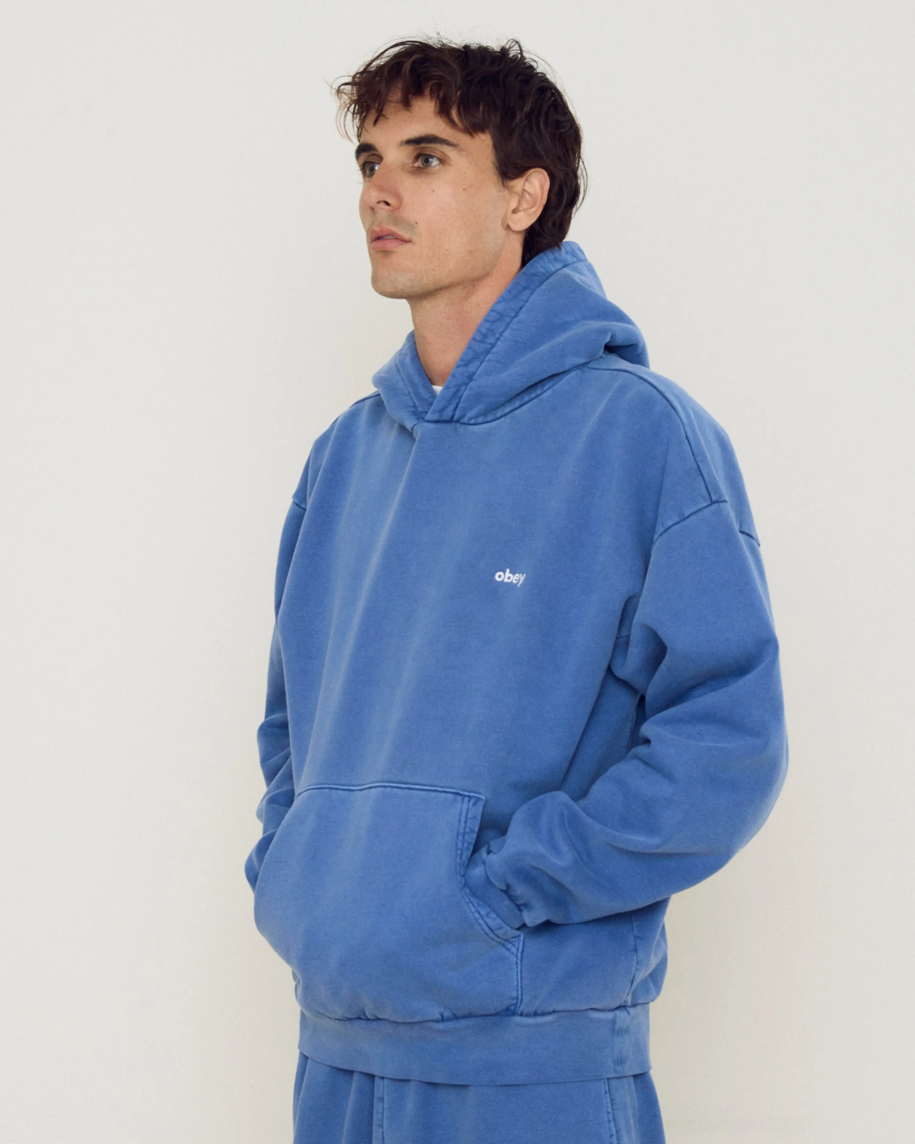 LOWERCASE PIGMENT PULLOVER sold by Obey product image thumbnail 4