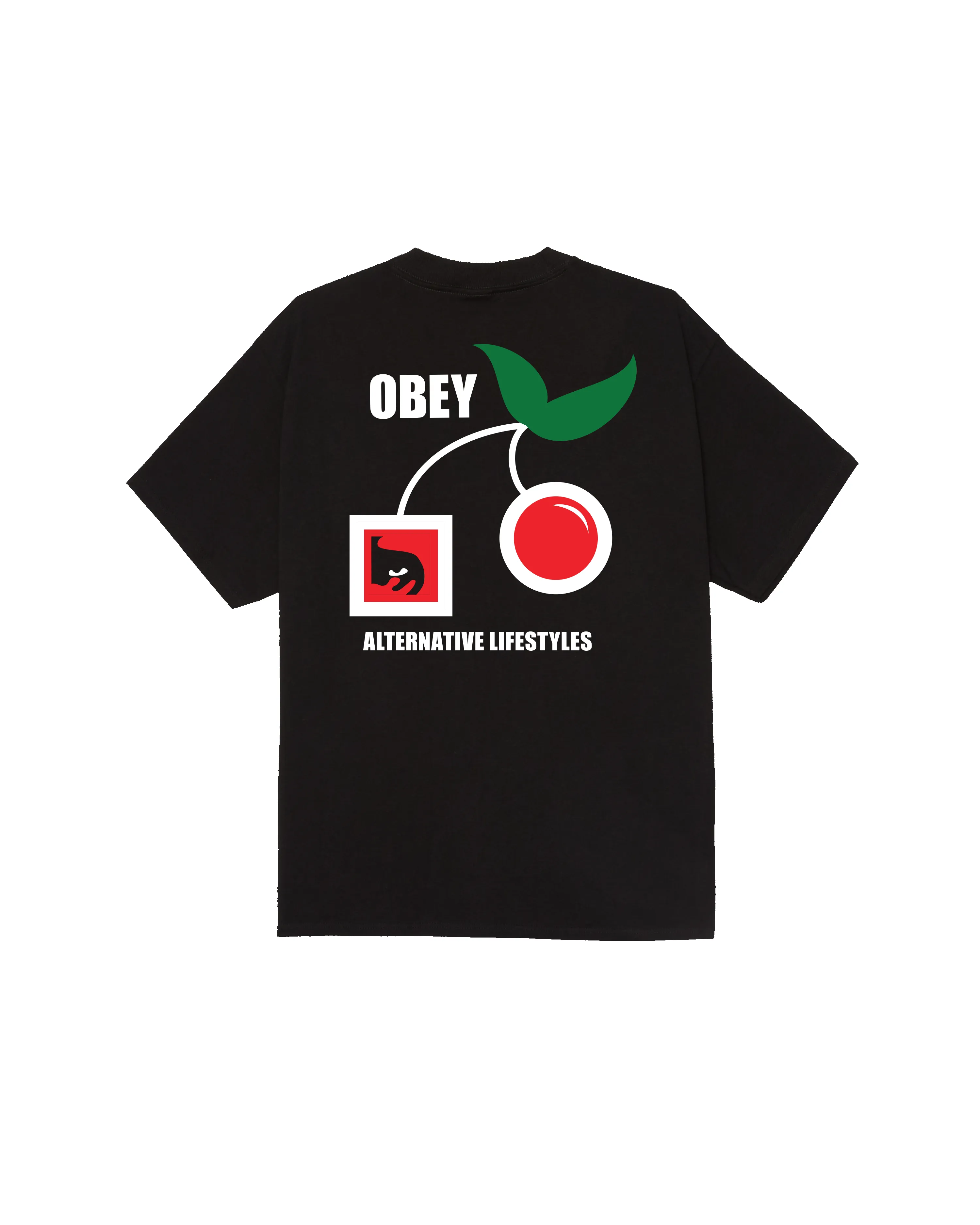 ALTERNATIVE LIFESTYLES CLASSIC T-SHIRT sold by Obey