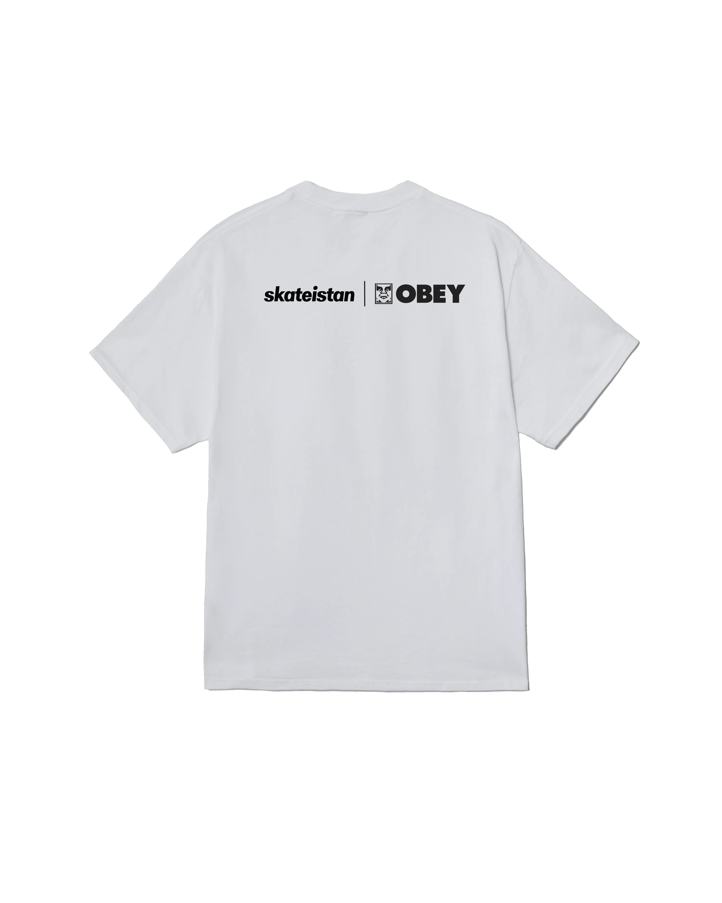 SKATEISTAN / PHOTO CLASSIC T-SHIRT sold by Obey product image thumbnail 2