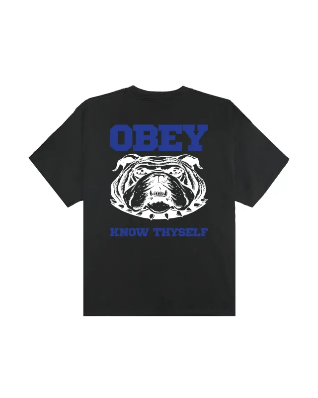 KNOW THYSELF HEAVYWEIGHT T-SHIRT made by Obey