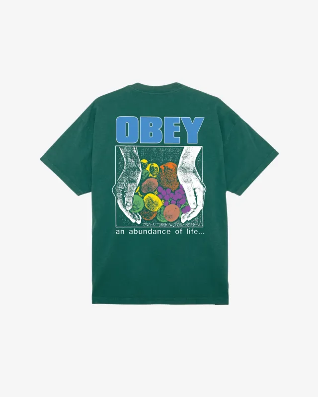 AN ABUNDANCE OF LIFE HEAVYWEIGHT T-SHIRT sold by Obey