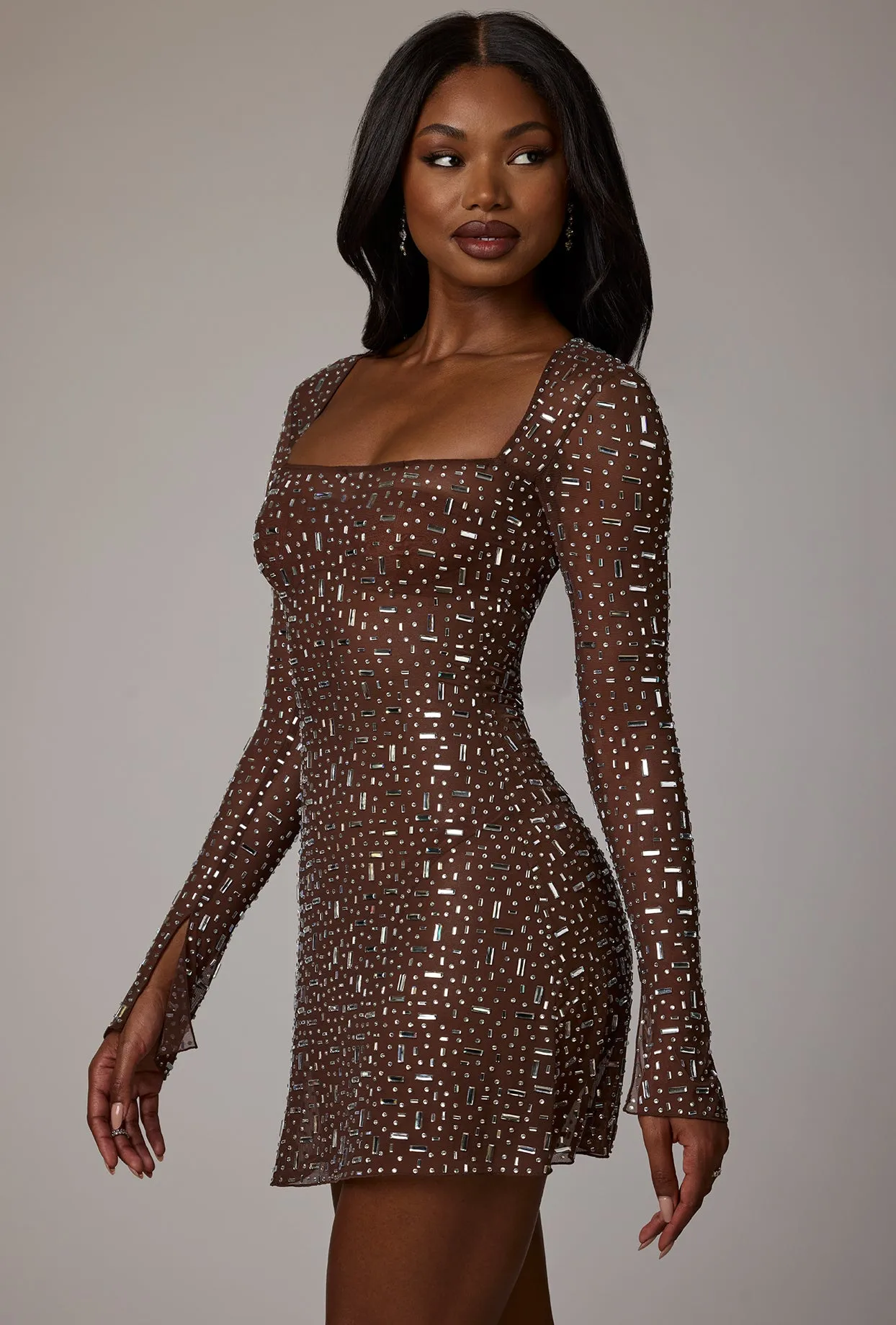 Sheer Embellished Long Sleeve A-Line Mini Dress in Deep Cocoa sold by Oh Polly product image thumbnail 3