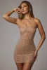 Sheer Embellished Bodycon Mini Dress in Almond sold by Oh Polly