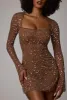 Sheer Embellished Long Sleeve A-Line Mini Dress in Mocha sold by Oh Polly