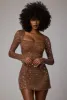 Sheer Embellished Long Sleeve A-Line Mini Dress in Mocha sold by Oh Polly