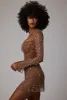 Sheer Embellished Long Sleeve A-Line Mini Dress in Mocha sold by Oh Polly