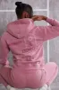 Hooded Sweatshirt in Rose sold by Oh Polly