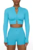Long Sleeve Zip Crop Top in Blue sold by Oh Polly