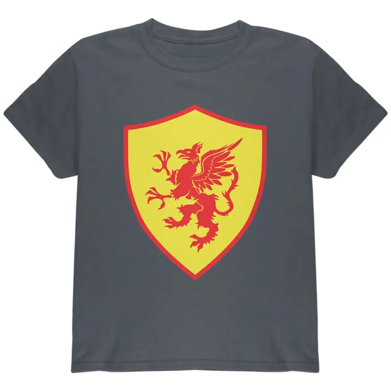 Halloween Knight Shield Costume Griffin Youth T Shirt sold by Old Glory