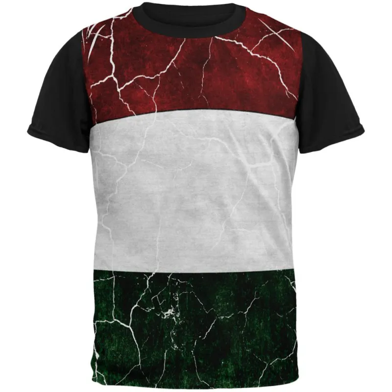 Distressed Hungarian Flag All Over Mens Black Back T Shirt sold by Old Glory