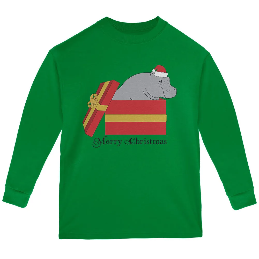 Merry Christmas Hippo Hippopotamus Cute Youth Long Sleeve T Shirt sold by Old Glory