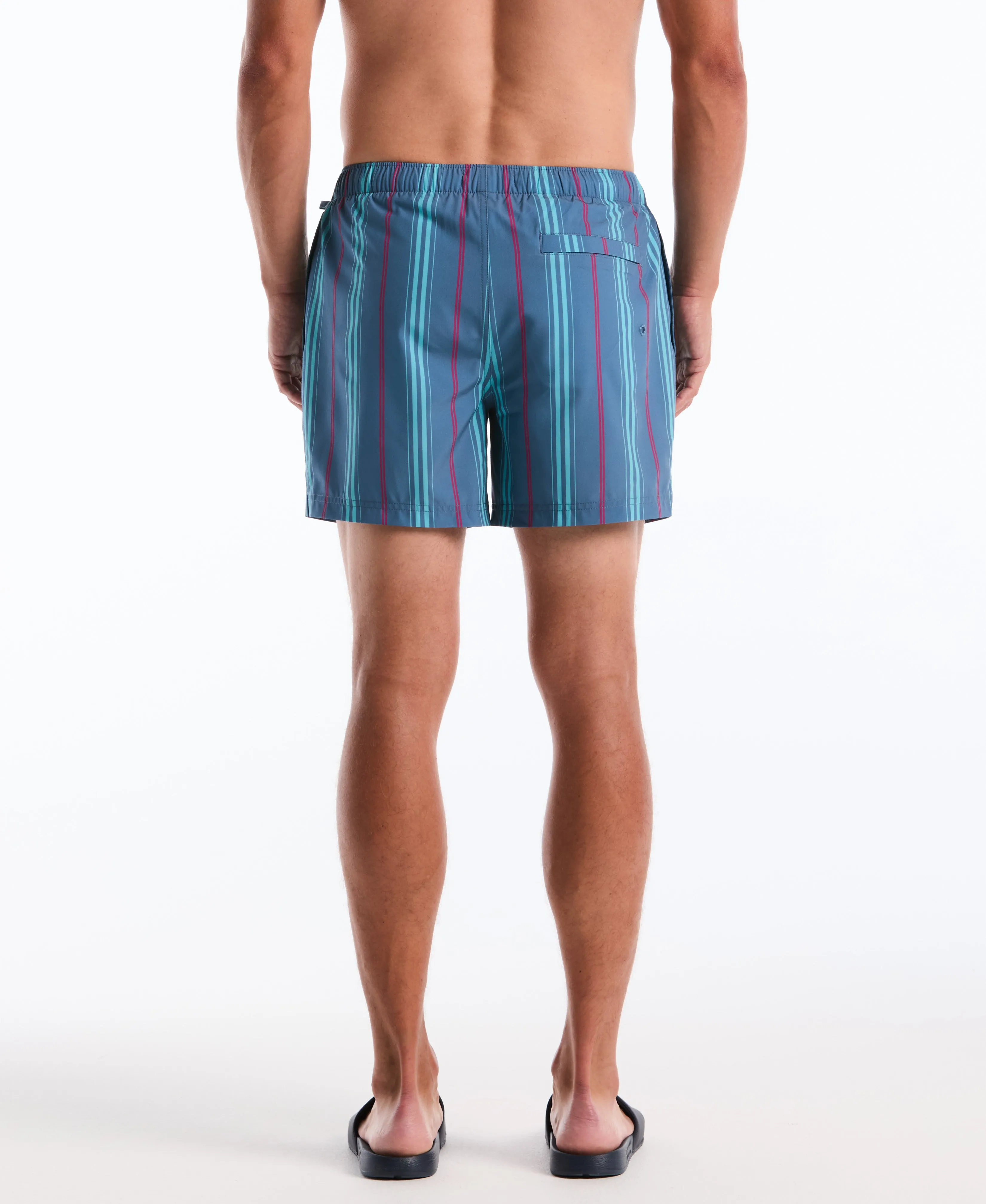 5" Box Stripe Swim Short sold by Original Penguin product image thumbnail 2