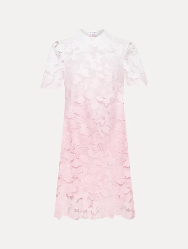 Ombré Peony Guipure Shift Dress made by Oscar de la Renta