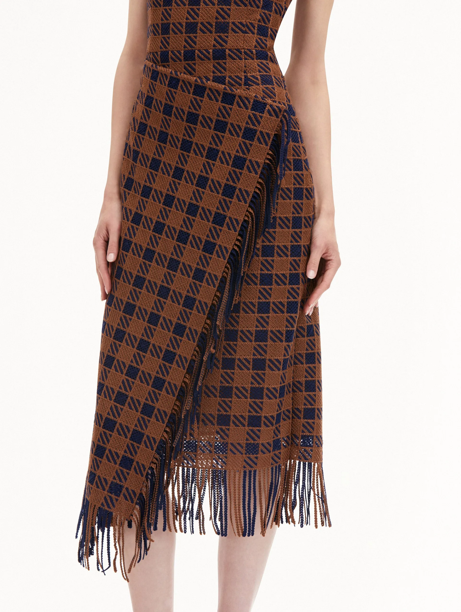 Check Fringe Guipure Dress sold by Oscar de la Renta product image thumbnail 5