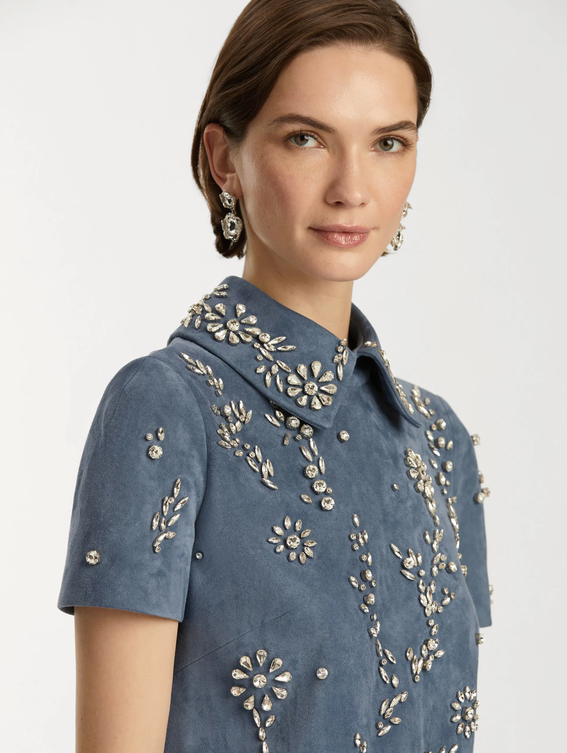Crystal Embroidered Suede Shift Dress sold by Oscar de la Renta product image thumbnail 5