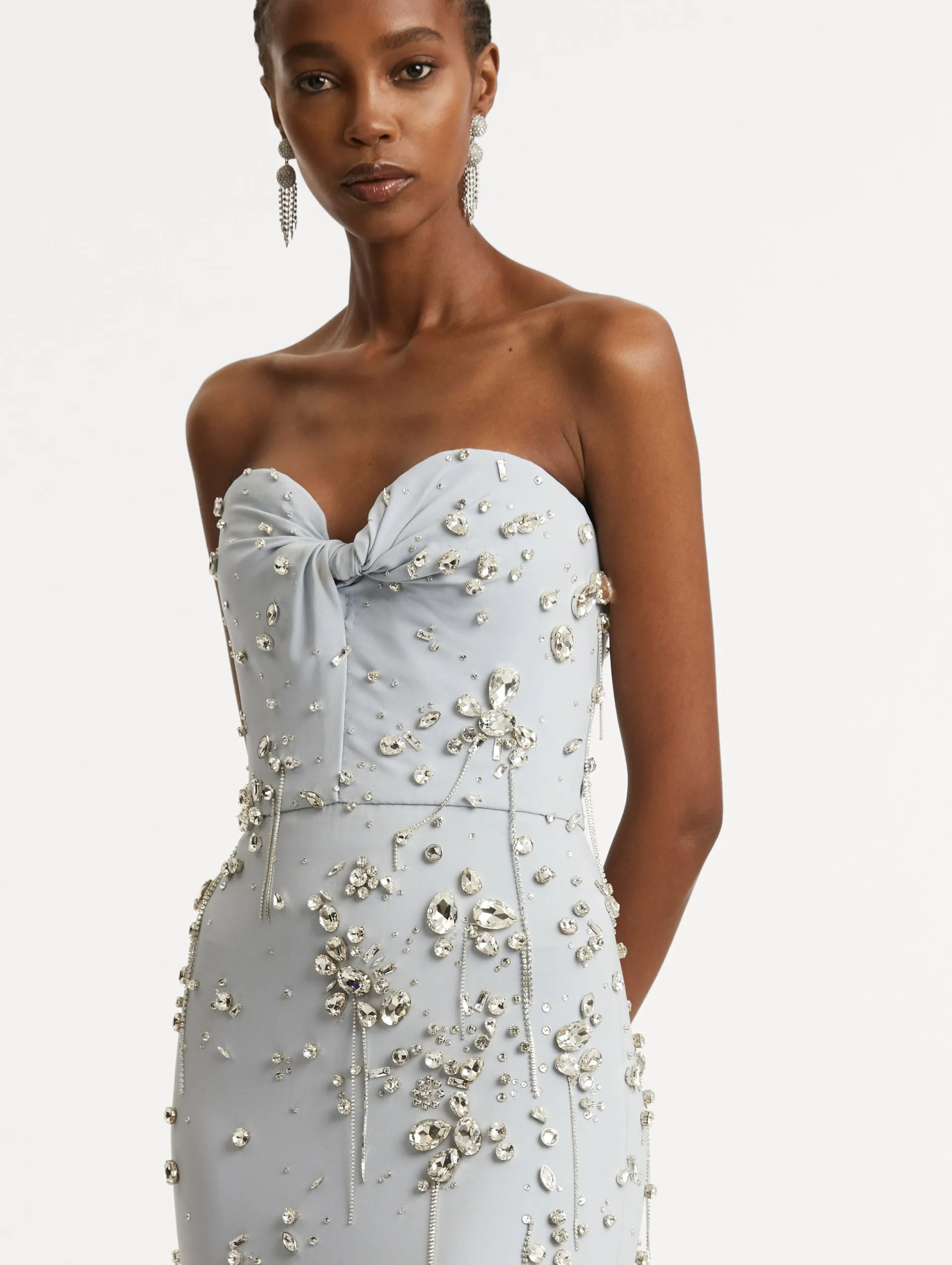 Crystal Cluster Embroidered Strapless Gown sold by Oscar de la Renta product image thumbnail 5
