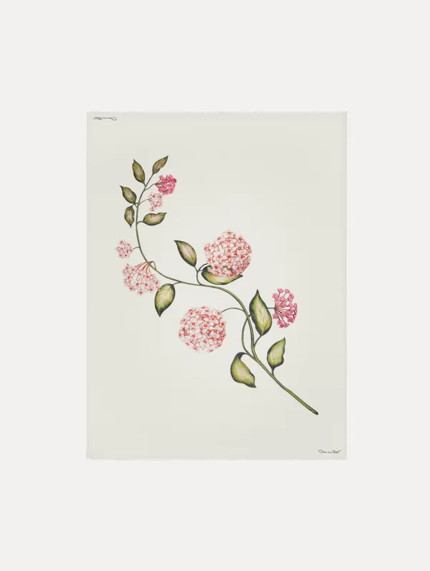 Porcelain Flower Modal Cashmere Scarf sold by Oscar de la Renta