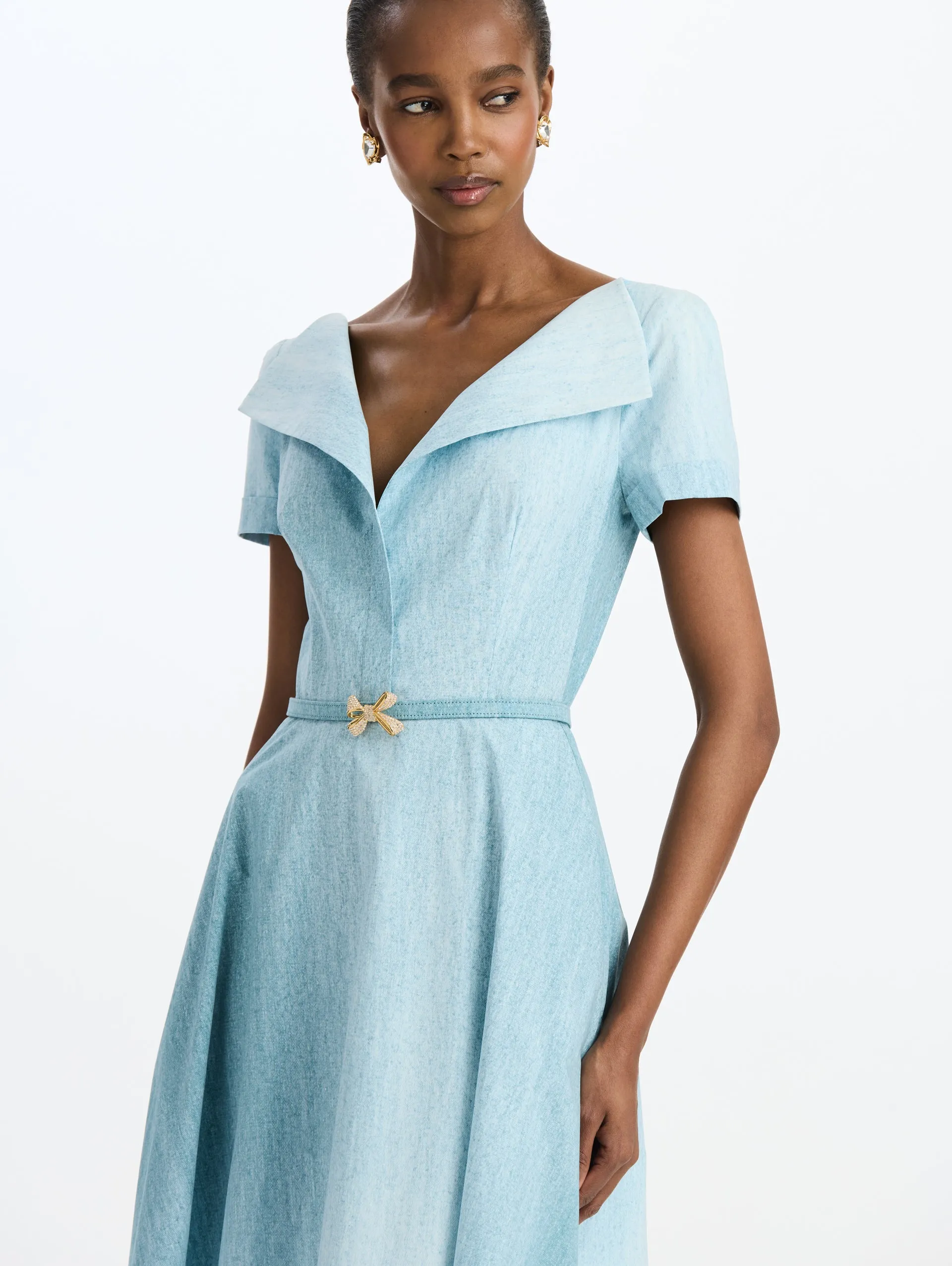 Painted Ground Cotton Poplin Dress sold by Oscar de la Renta product image thumbnail 4