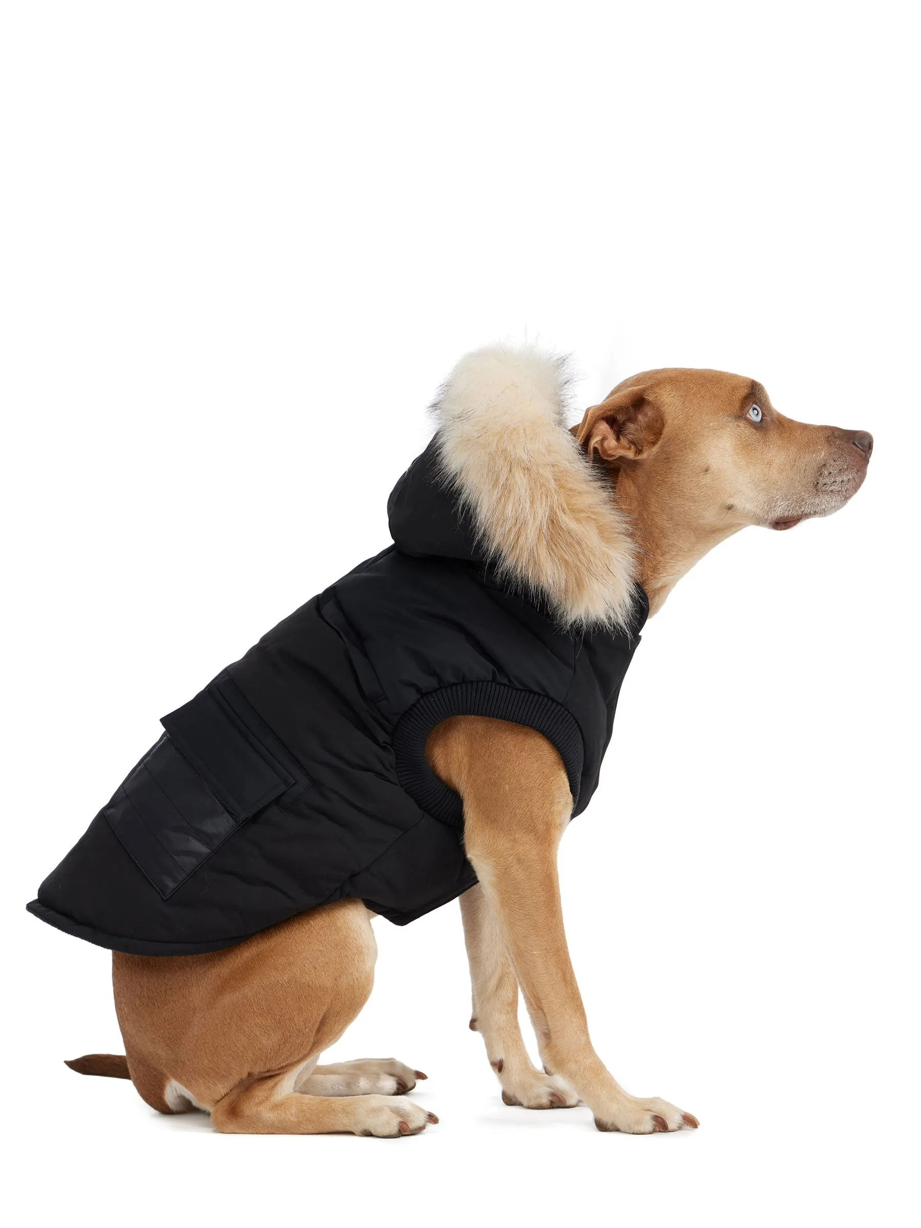 Zeus Jacket for Dogs w/Faux Fur Trim - 502 sold by Pajar product image thumbnail 2