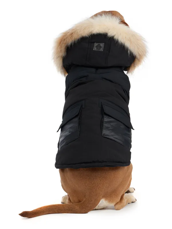 Zeus Jacket for Dogs w/Faux Fur Trim - 502 sold by Pajar