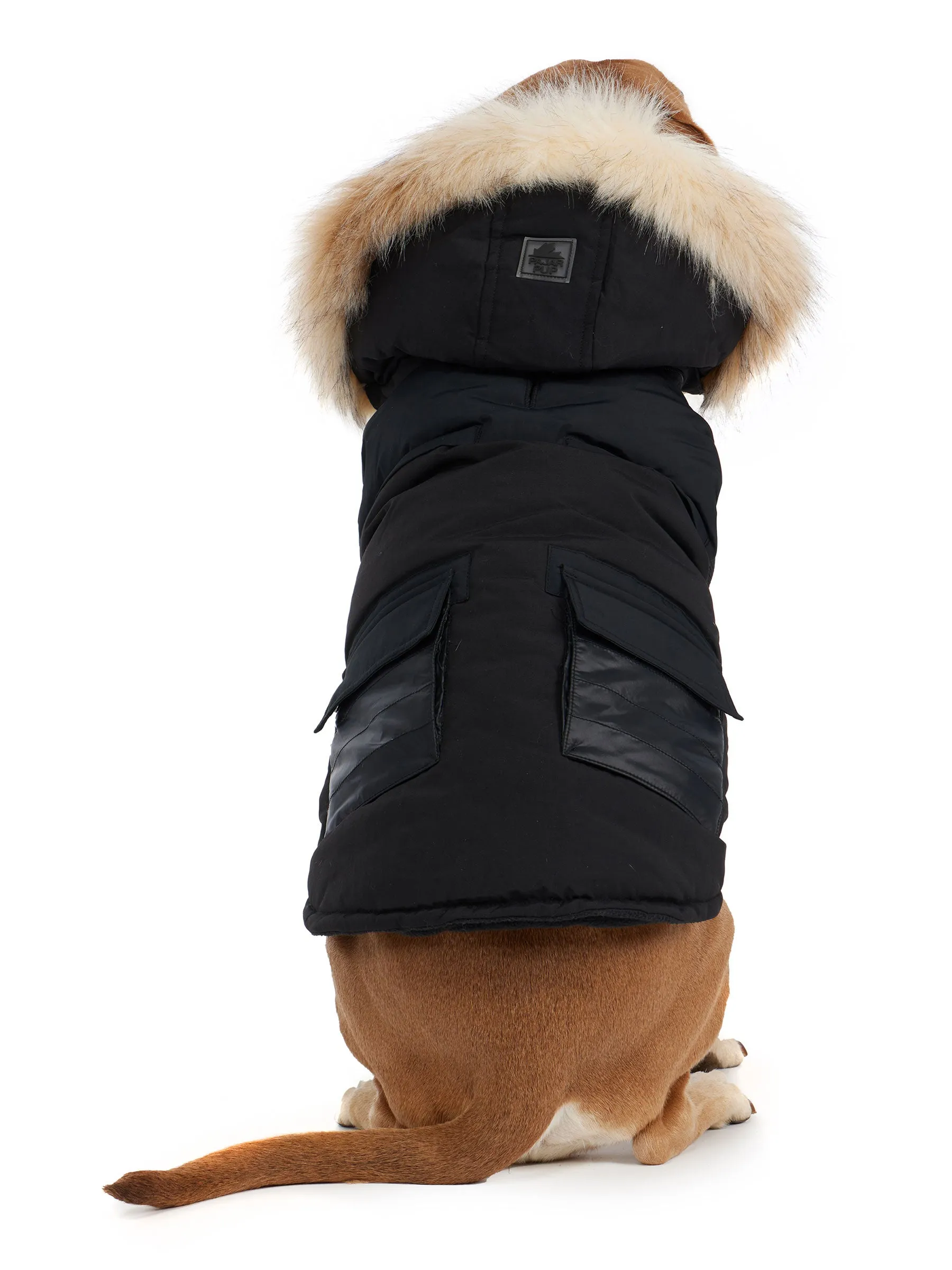 Zeus Jacket for Dogs w/Faux Fur Trim - 502 sold by Pajar