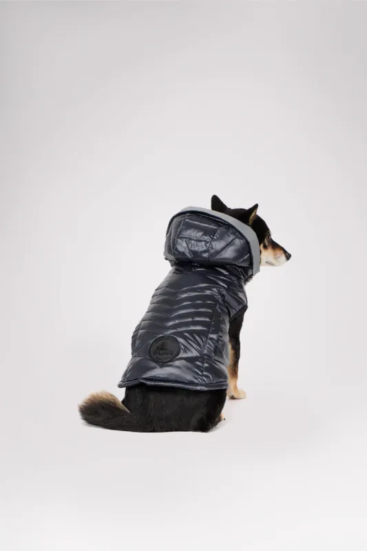 Miles Quilted Coat with reflective Visor for Dogs sold by Pajar