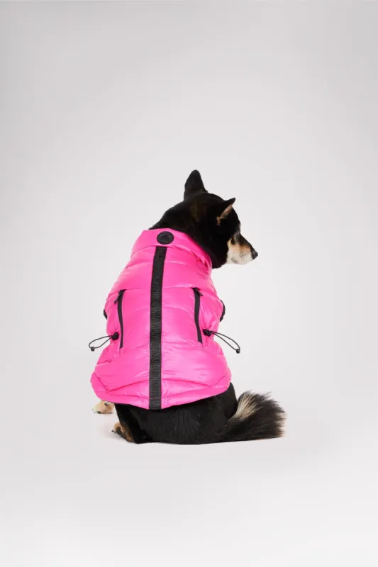 Rosie Quilted Coat w/cinched waist for Dogs sold by Pajar
