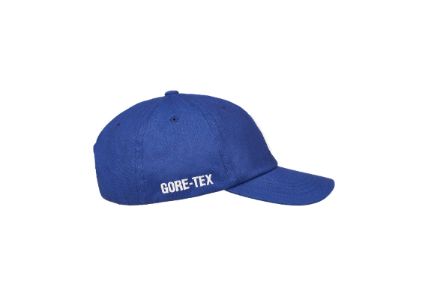 GORE-TEX PIGMENT P 6-PANEL ULTRA sold by PALACE