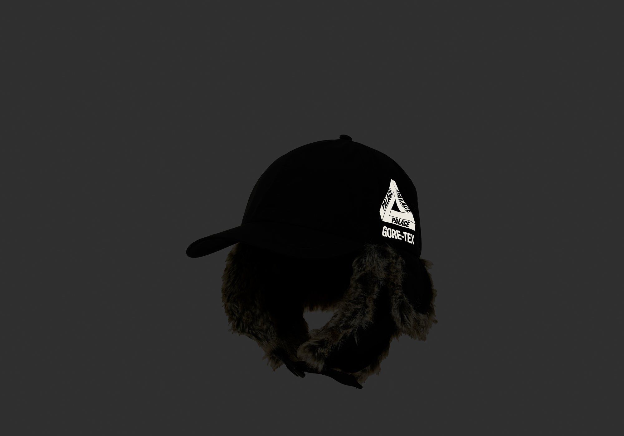 GORE-TEX DOG EAR 6-PANEL BLACK sold by PALACE product image thumbnail 2