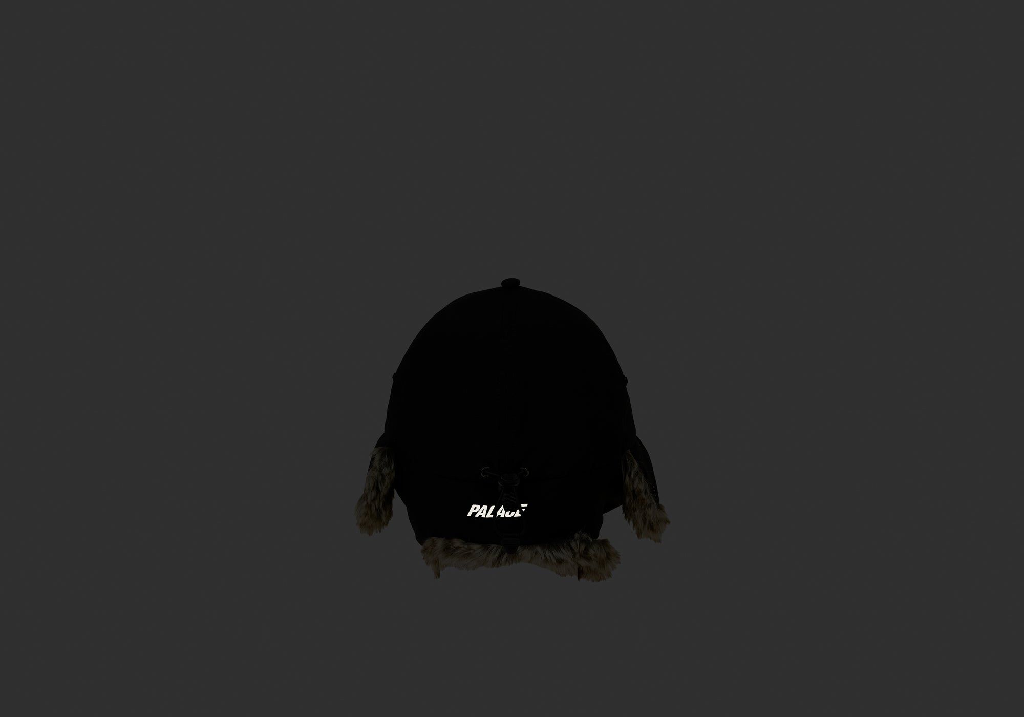 GORE-TEX DOG EAR 6-PANEL BLACK sold by PALACE product image thumbnail 7
