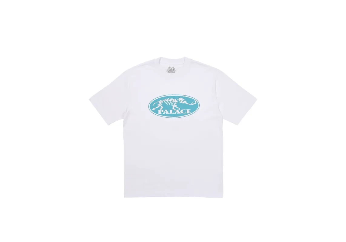 BONE DRY T-SHIRT WHITE sold by PALACE