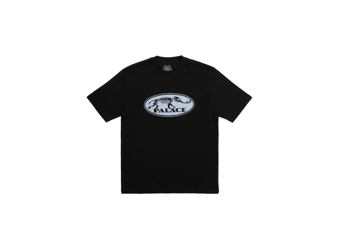 BONE DRY T-SHIRT BLACK sold by PALACE