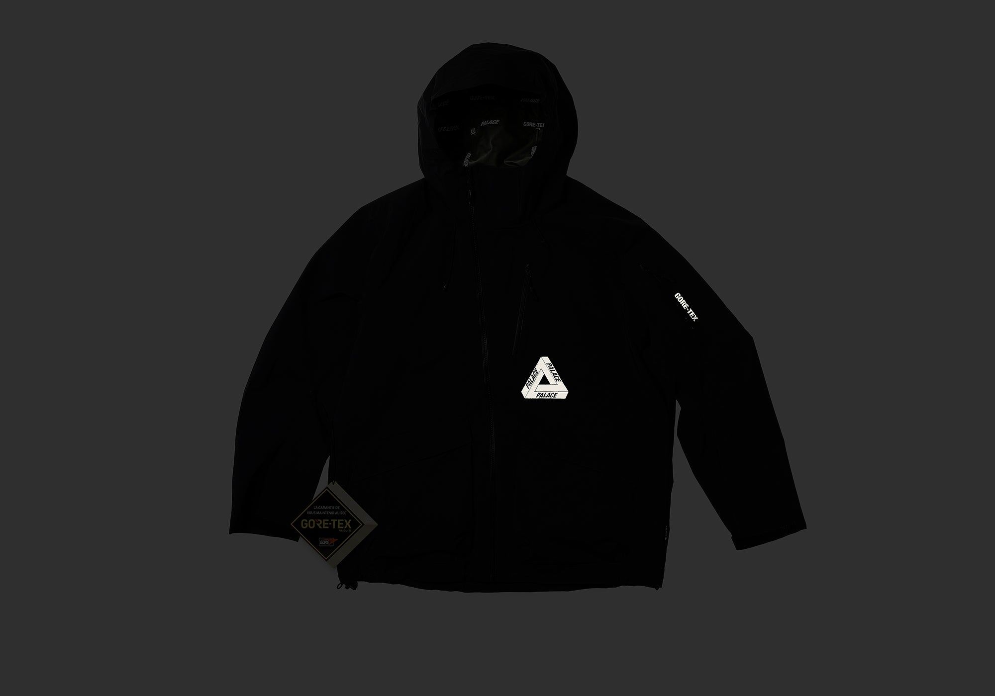 GORE-TEX R-TEK JACKET BLACK sold by PALACE product image thumbnail 2