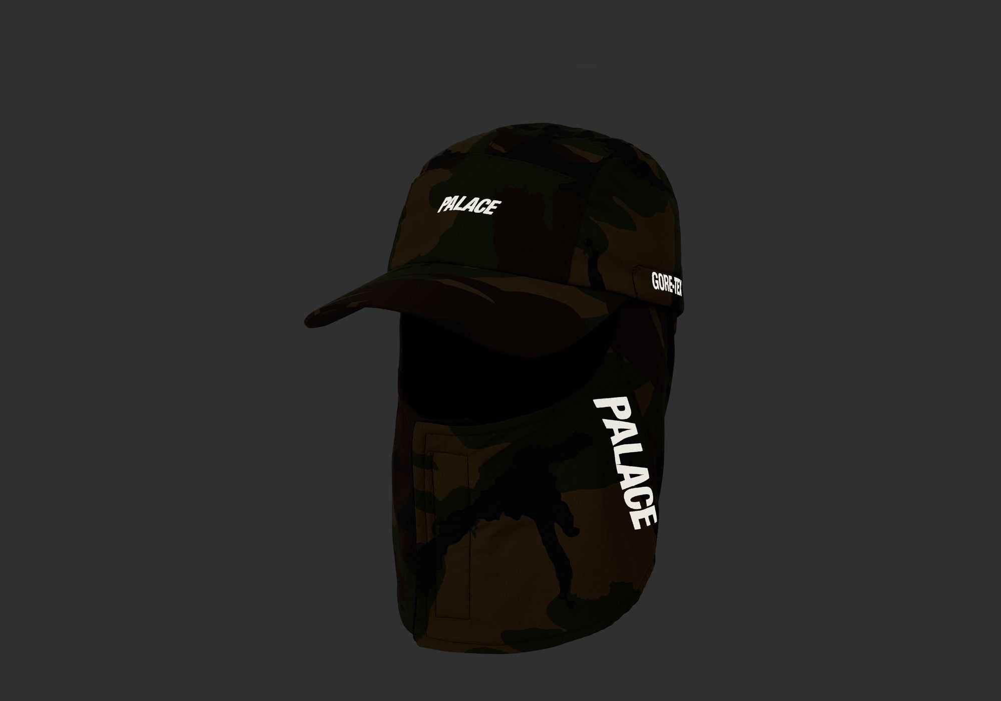 GORE-TEX MASK CAP WOODLAND DPM sold by PALACE product image thumbnail 2