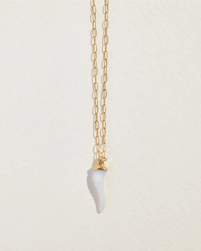 Stone Horn Pendant sold by Pamela Love