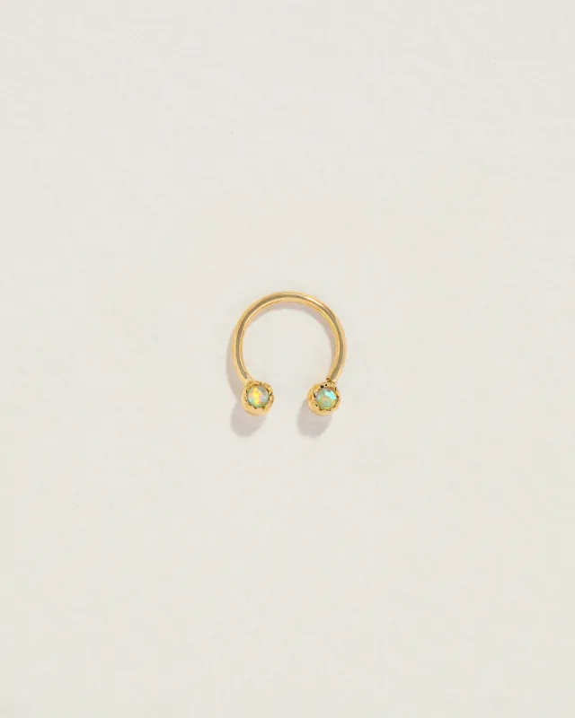 Circular Barbell made by Pamela Love