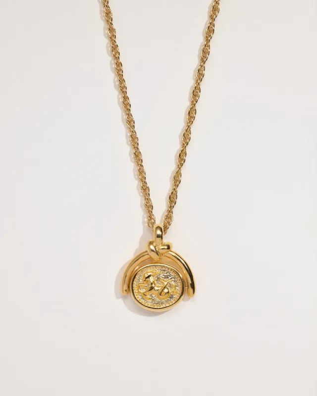 Capricorn Spinner Pendant sold by Pamela Love