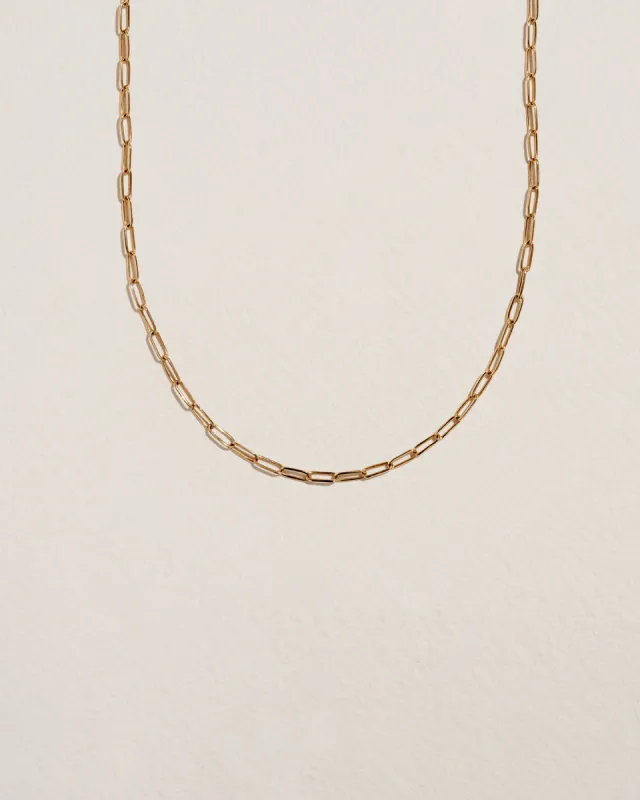 Paperclip Chain sold by Pamela Love