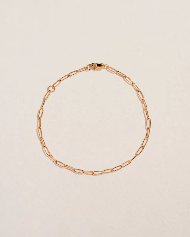 Paperclip Bracelet made by Pamela Love