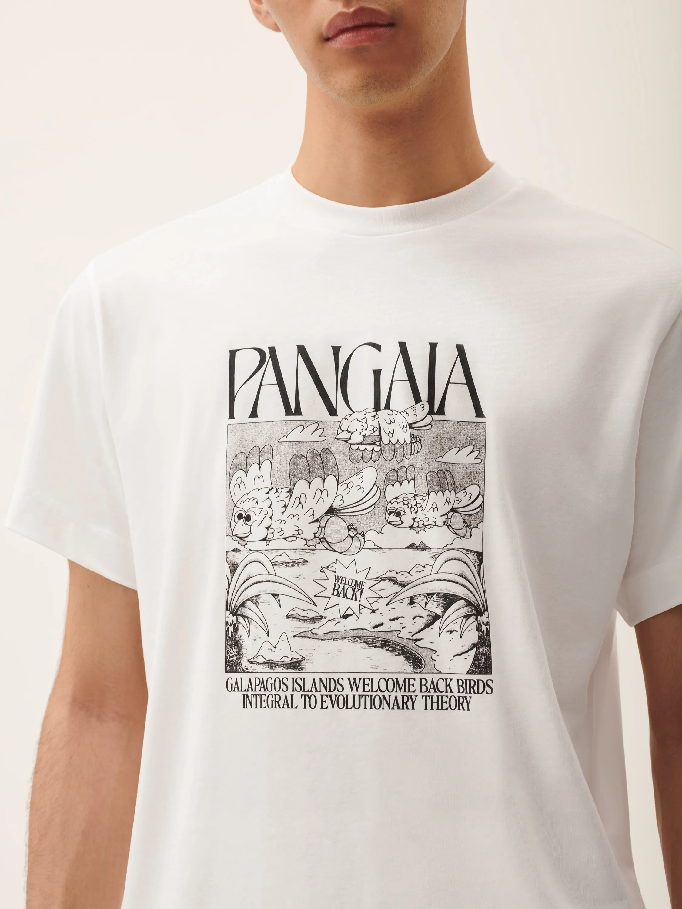 Womens Finches Return Hope T-Shirt—off-white sold by Pangaia product image thumbnail 4