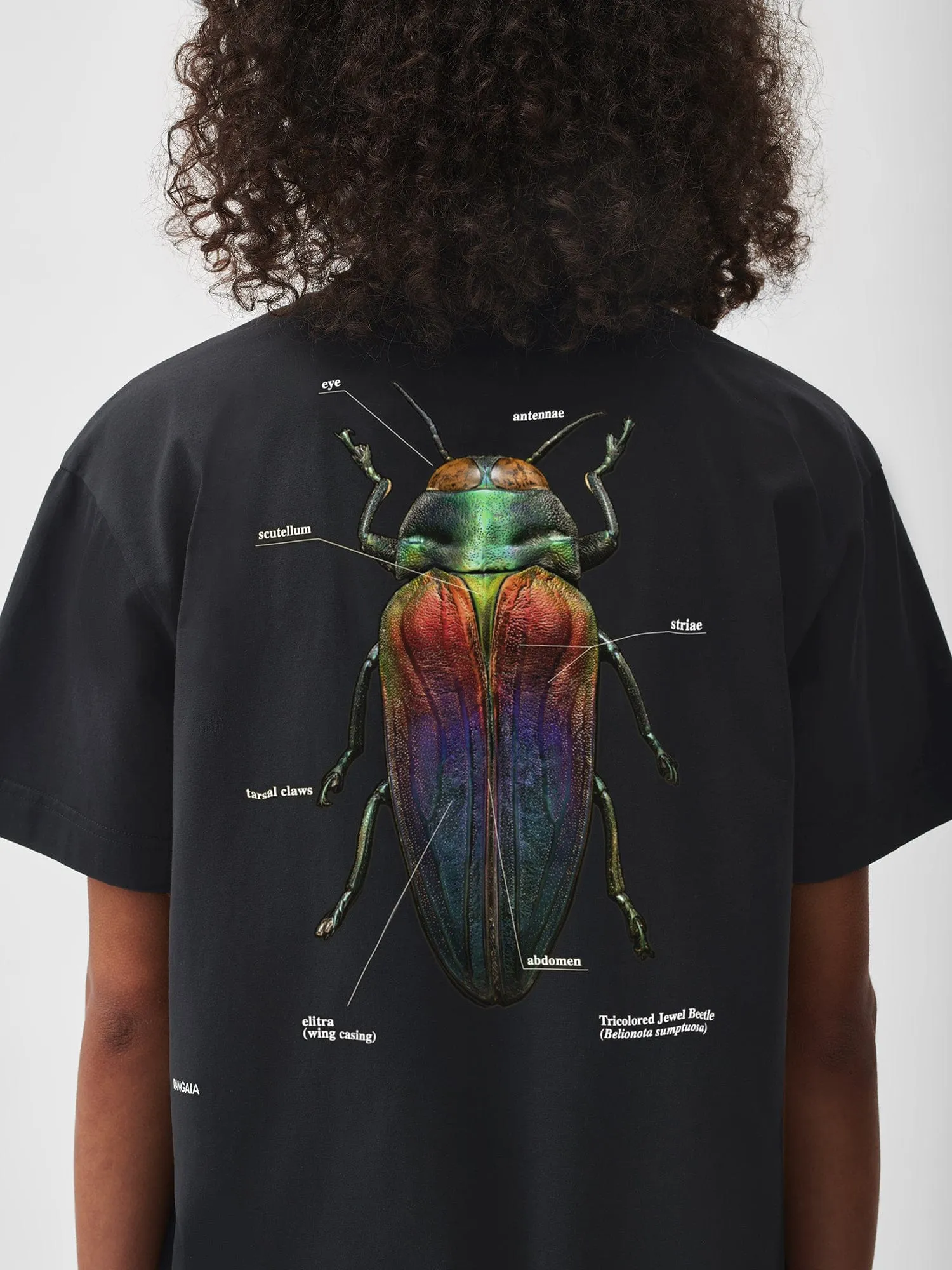 PANGAIA X Levon Biss Tricolored Jewel Beetle T-shirt—black sold by Pangaia product image thumbnail 4