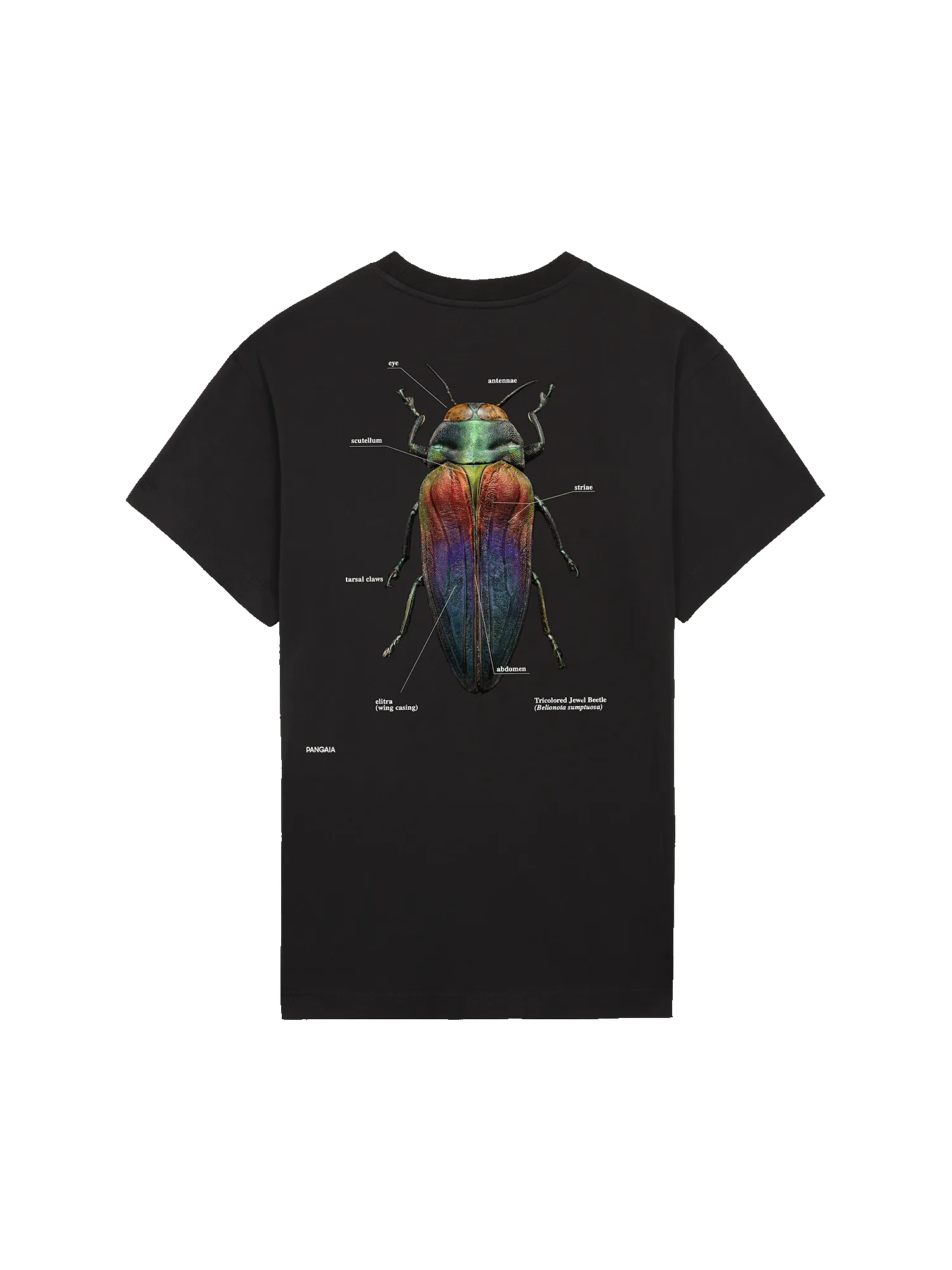 PANGAIA X Levon Biss Tricolored Jewel Beetle T-shirt—black sold by Pangaia