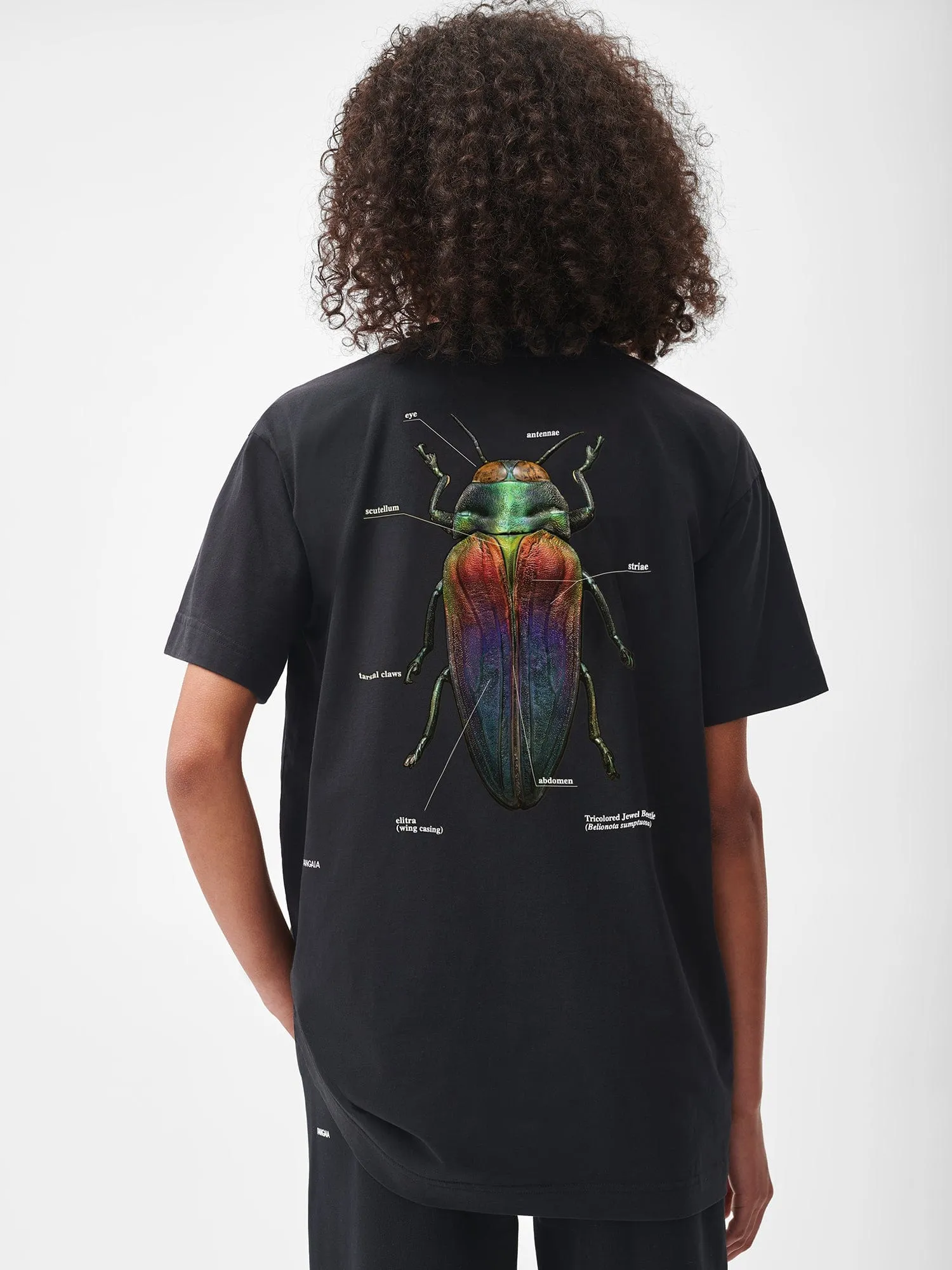 PANGAIA X Levon Biss Tricolored Jewel Beetle T-shirt—black sold by Pangaia product image thumbnail 3