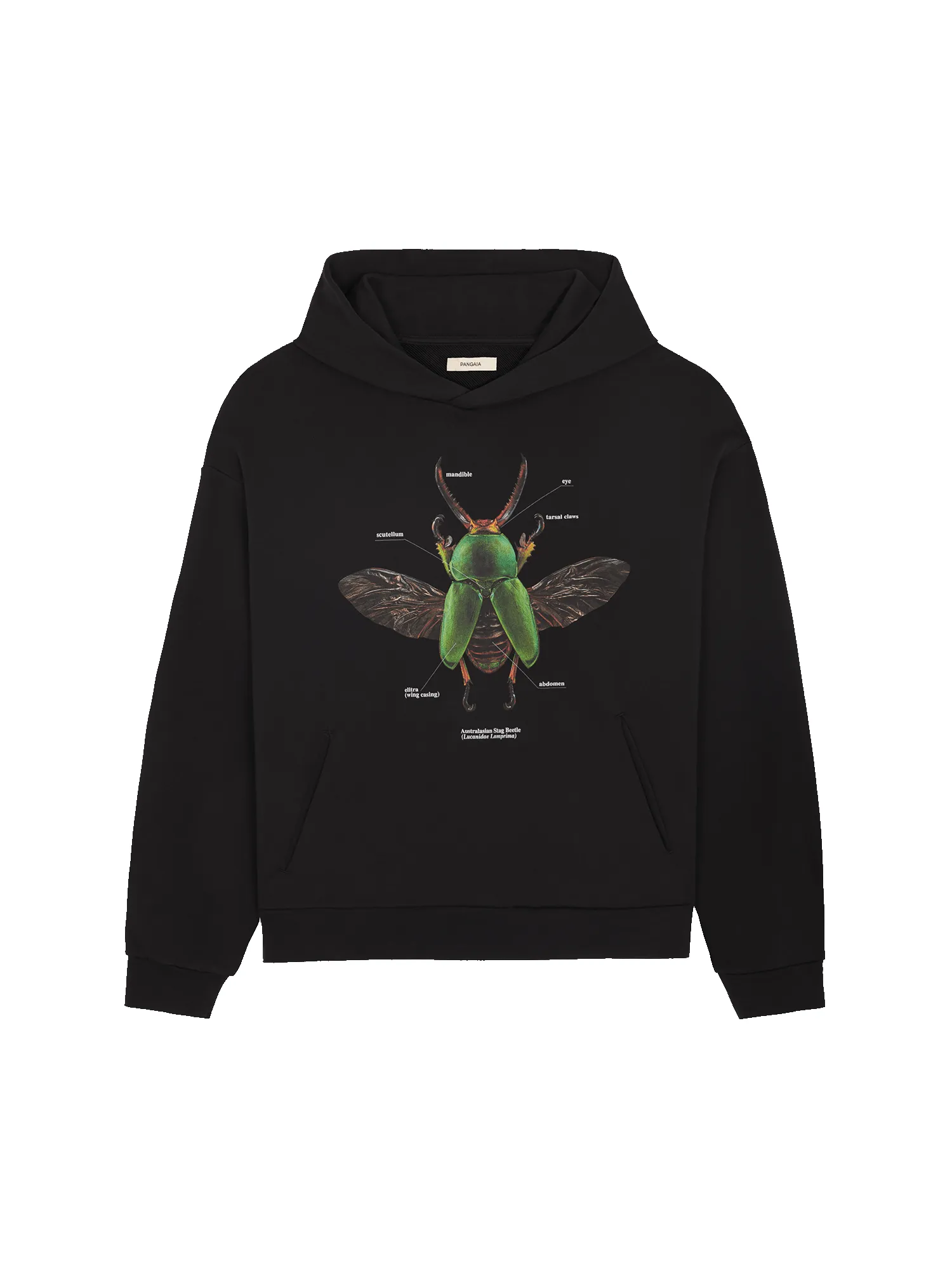 PANGAIA X Levon Biss Sawtooth Beetle Hoodie—black sold by Pangaia