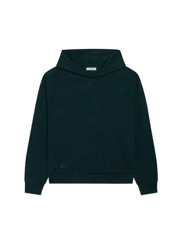 Recycled Wool Jersey Hoodie—foliage green sold by Pangaia