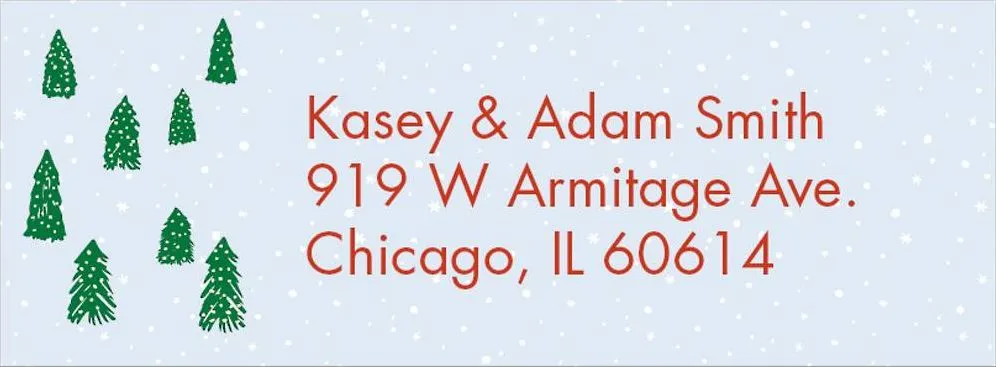 Skate Pond Holiday Return Address Label sold by Paper Source