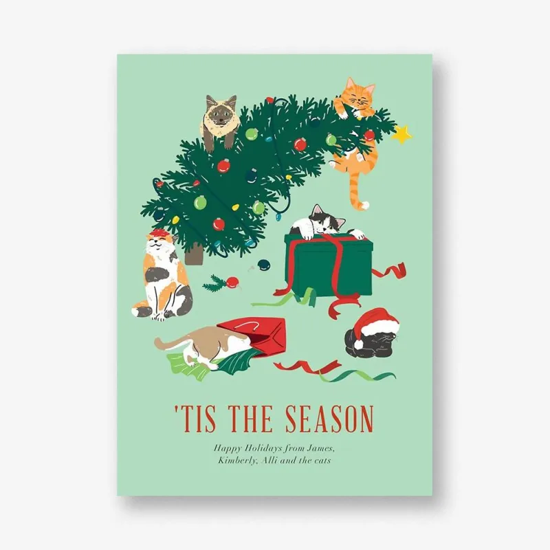 Cats in Trouble Holiday Card made by Paper Source