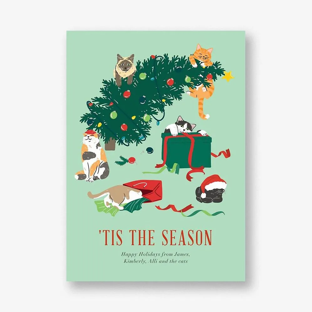 Cats in Trouble Holiday Card sold by Paper Source