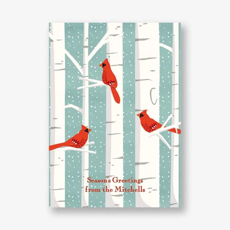 Cardinals in Birch Trees Holiday Card sold by Paper Source